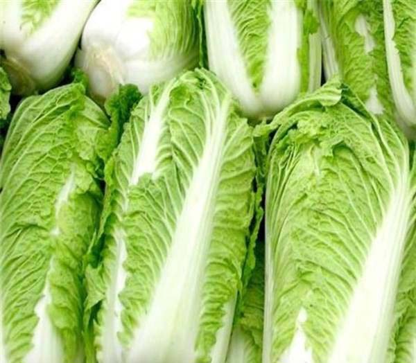 冬天來(lái)臨，醋溜白菜好吃，要謹(jǐn)防農(nóng)藥殘留