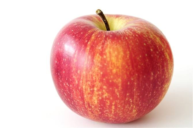 食品安全檢測儀 食品安全檢測儀