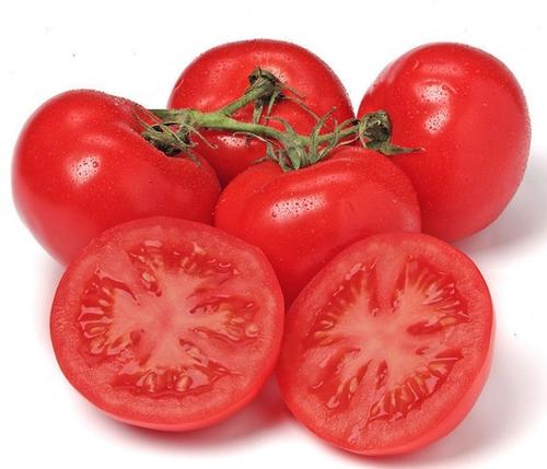 食品安全檢測儀 食品安全檢測儀