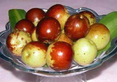 食品安全檢測儀 食品安全檢測儀