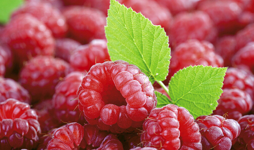 食品安全檢測(cè)儀 食品安全檢測(cè)儀