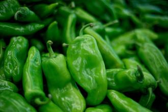 食品安全檢測(cè)儀 食品安全檢測(cè)儀