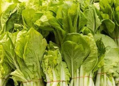 農(nóng)殘快速檢測儀 農(nóng)殘快速檢測儀