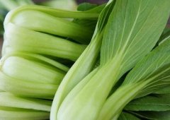 如何延長農(nóng)藥殘留速測儀的使用壽命？