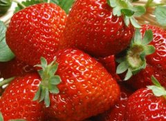 食品加工企業(yè)引進(jìn)食品安全檢測儀