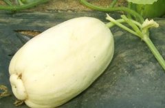 農(nóng)貿(mào)市場配備農(nóng)藥殘留檢測儀有必要嗎？