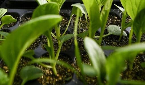 食品安全速測(cè)儀