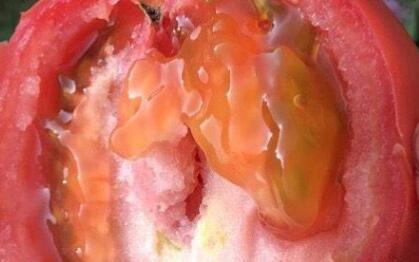 果蔬農(nóng)殘速測儀 果蔬農(nóng)殘速測儀